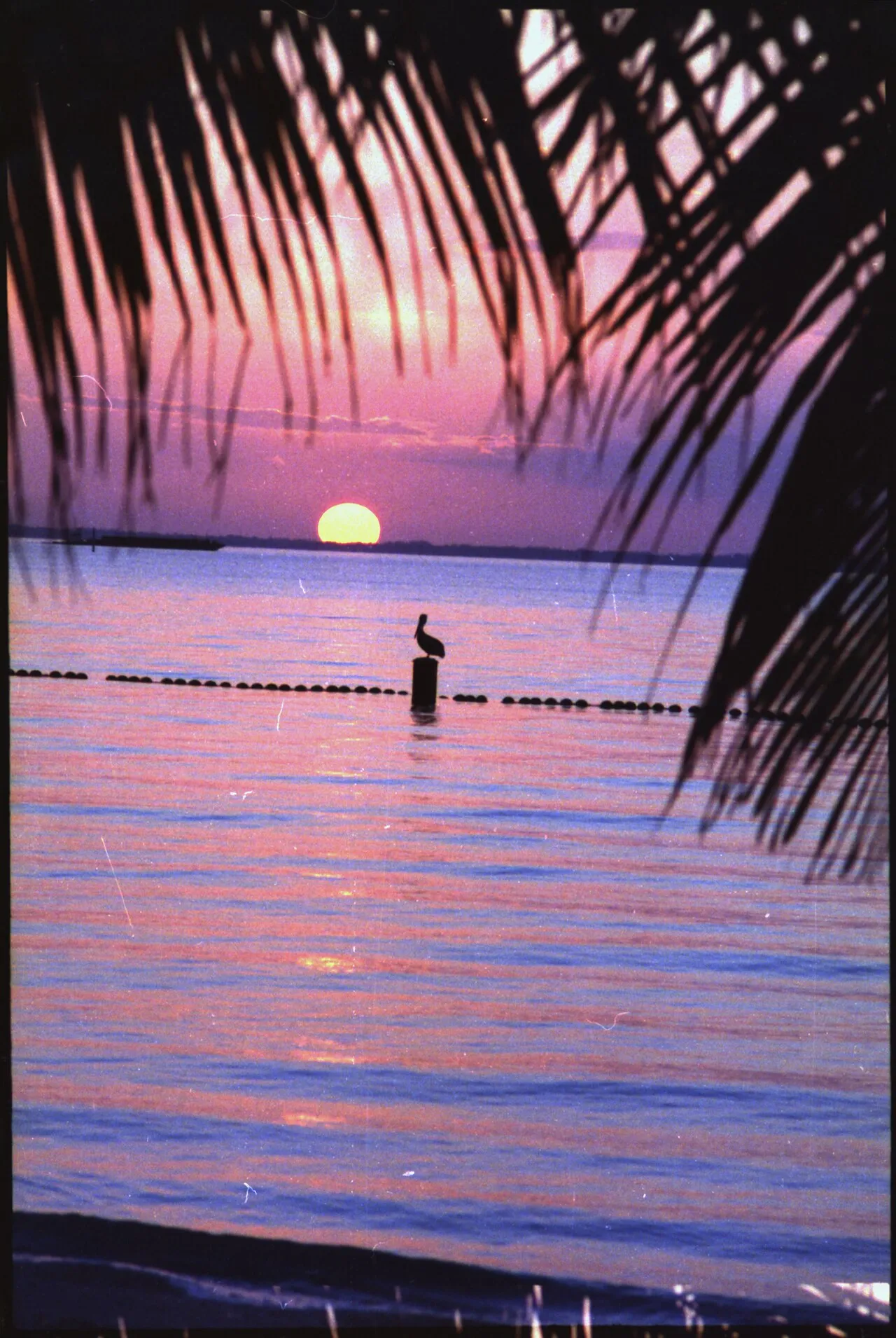 Sunset at Key Biscayne (National Archives).
