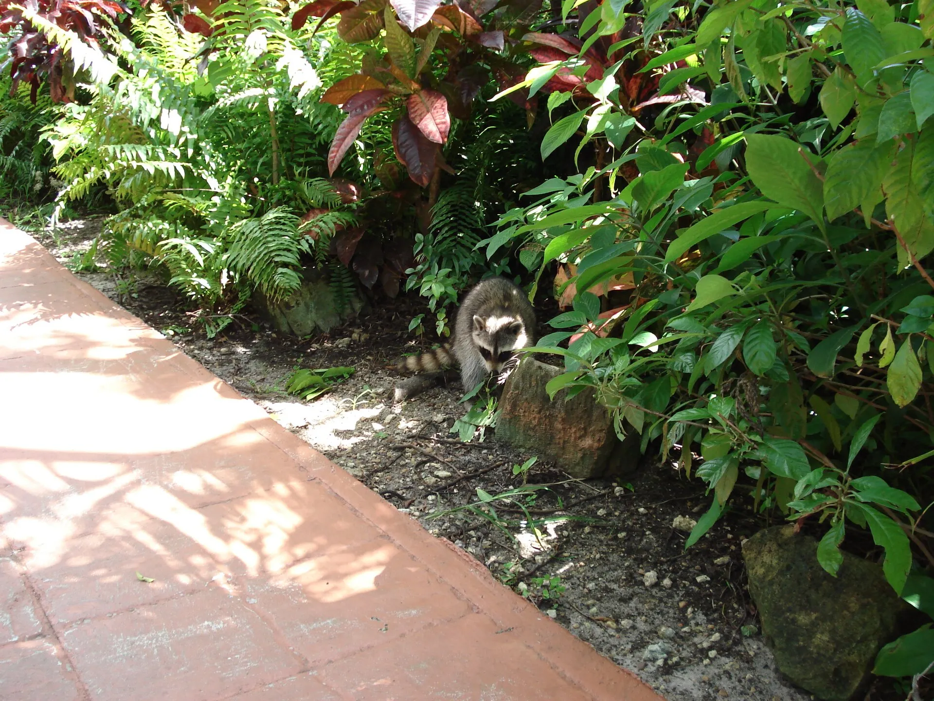 The cloisters of the Ancient Spanish Monastery of St. Bernard de Clairvaux in North Miami Beach.
