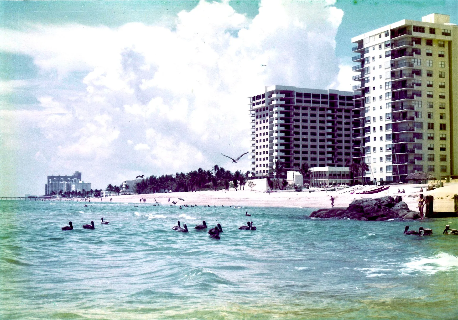 Pompano Beach, Florida, 1976 — beach and pelicans.