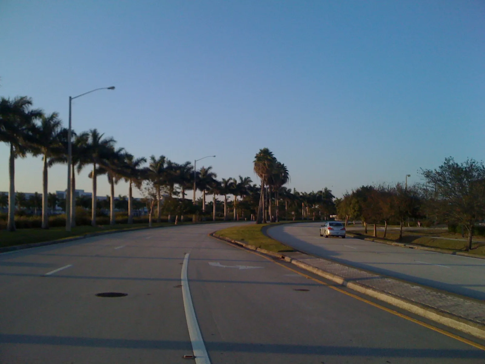 Tree-lined Hiatus Road in Tamarac, Florida.