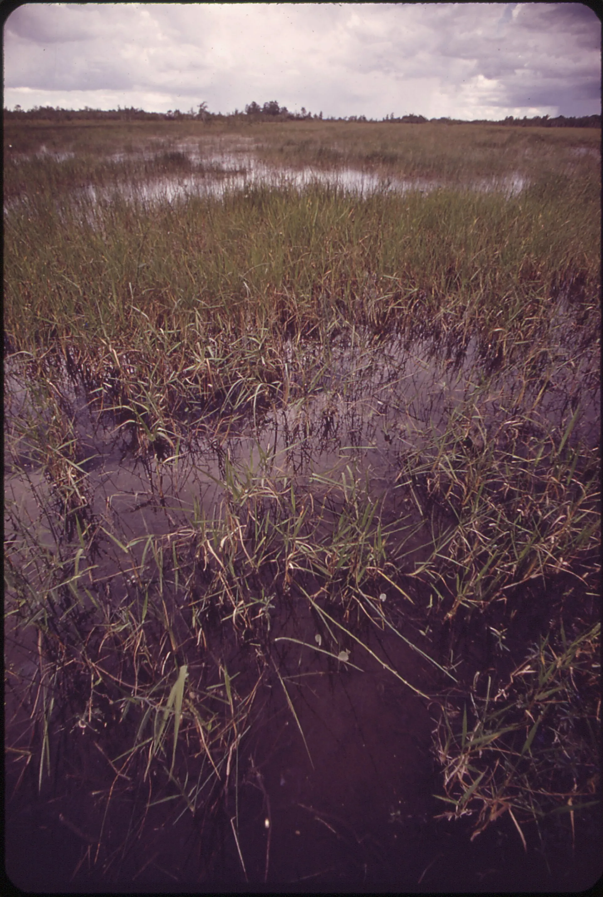 The Tamiami Canal area photographed in the 1970s (National Archives).