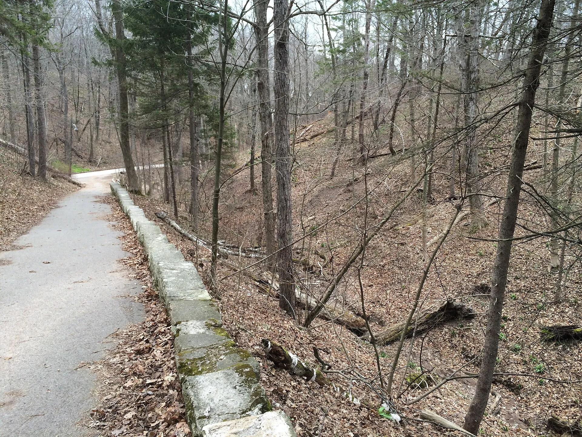Doctors Park in Fox Point — ravine trail toward Lake Michigan (April 2016).