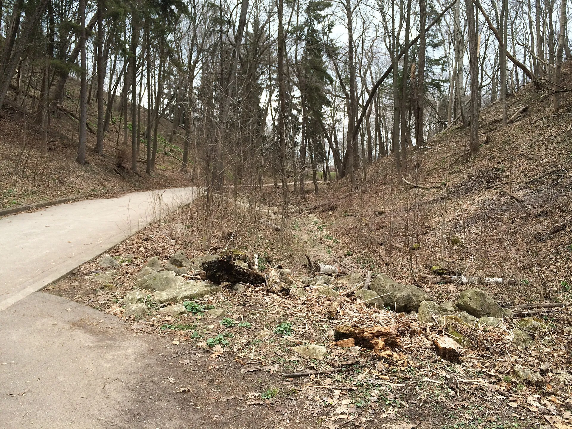 Doctors Park in Fox Point — drainage channel in the ravine (April 2016).