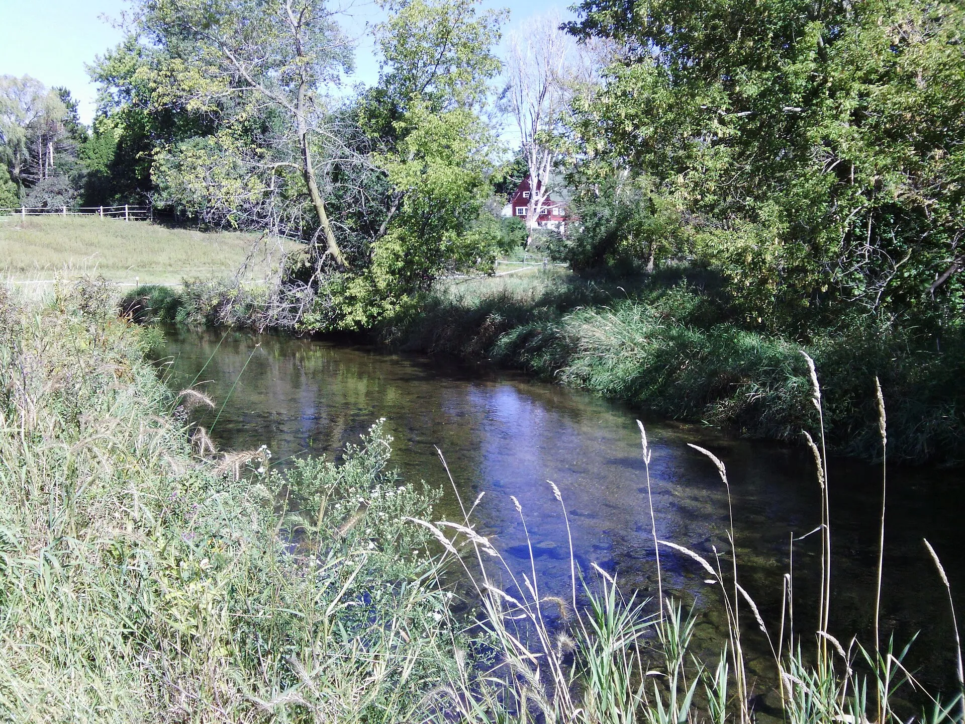 Bark River, Hartland section of Ice Age Trail.