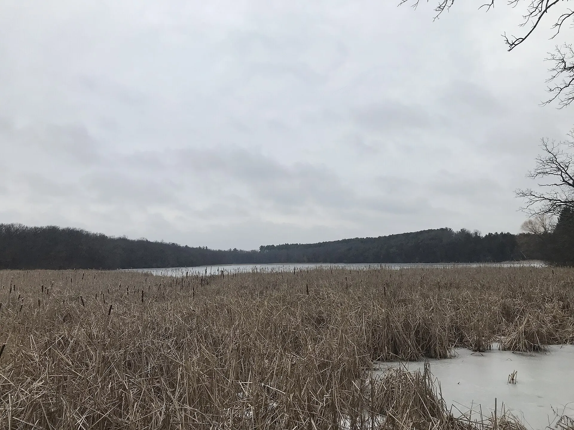 Forest lake from the south, inside Nashotah County Park, Wisconsin.
