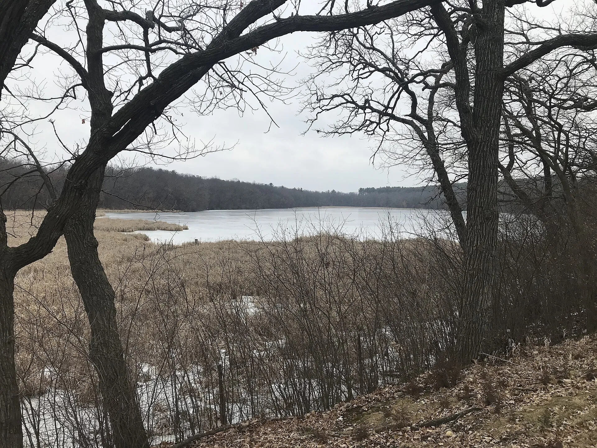 Forest lake from the south, inside Nashotah County Park, Wisconsin.