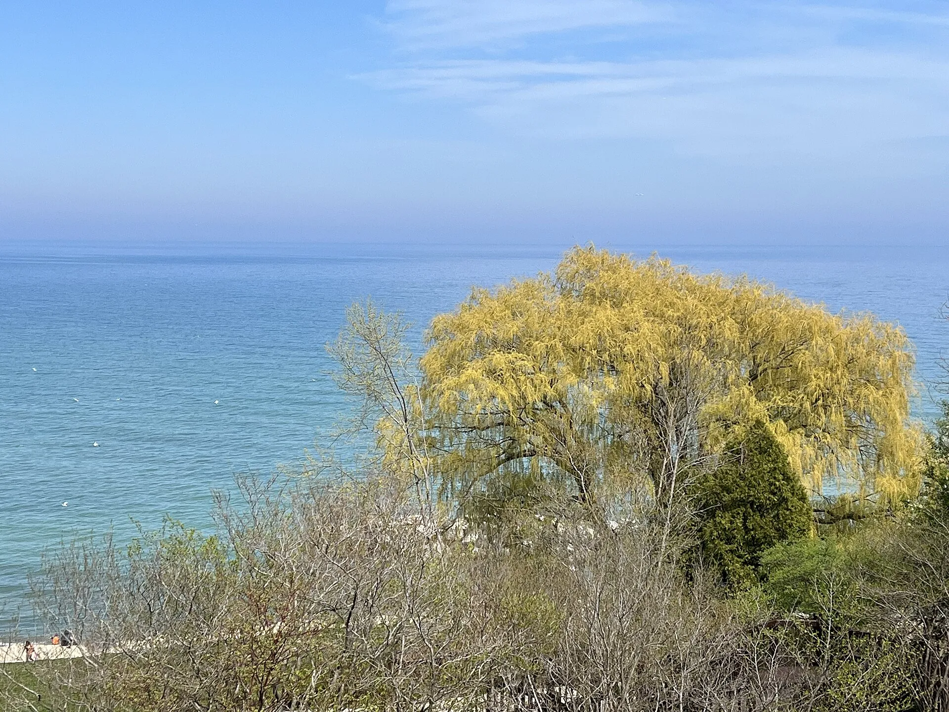 Lake Michigan shoreline at Whitefish Bay (2023).