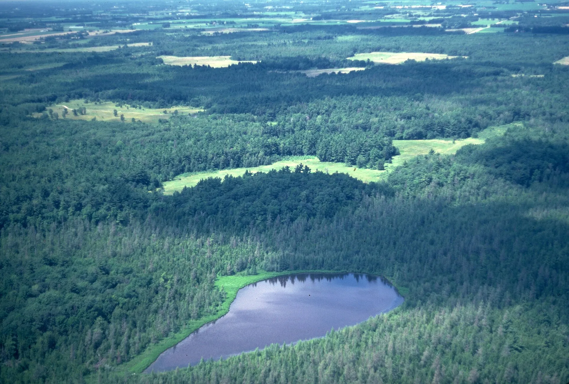 Cedar Bog Lake in East Bethel, Minnesota