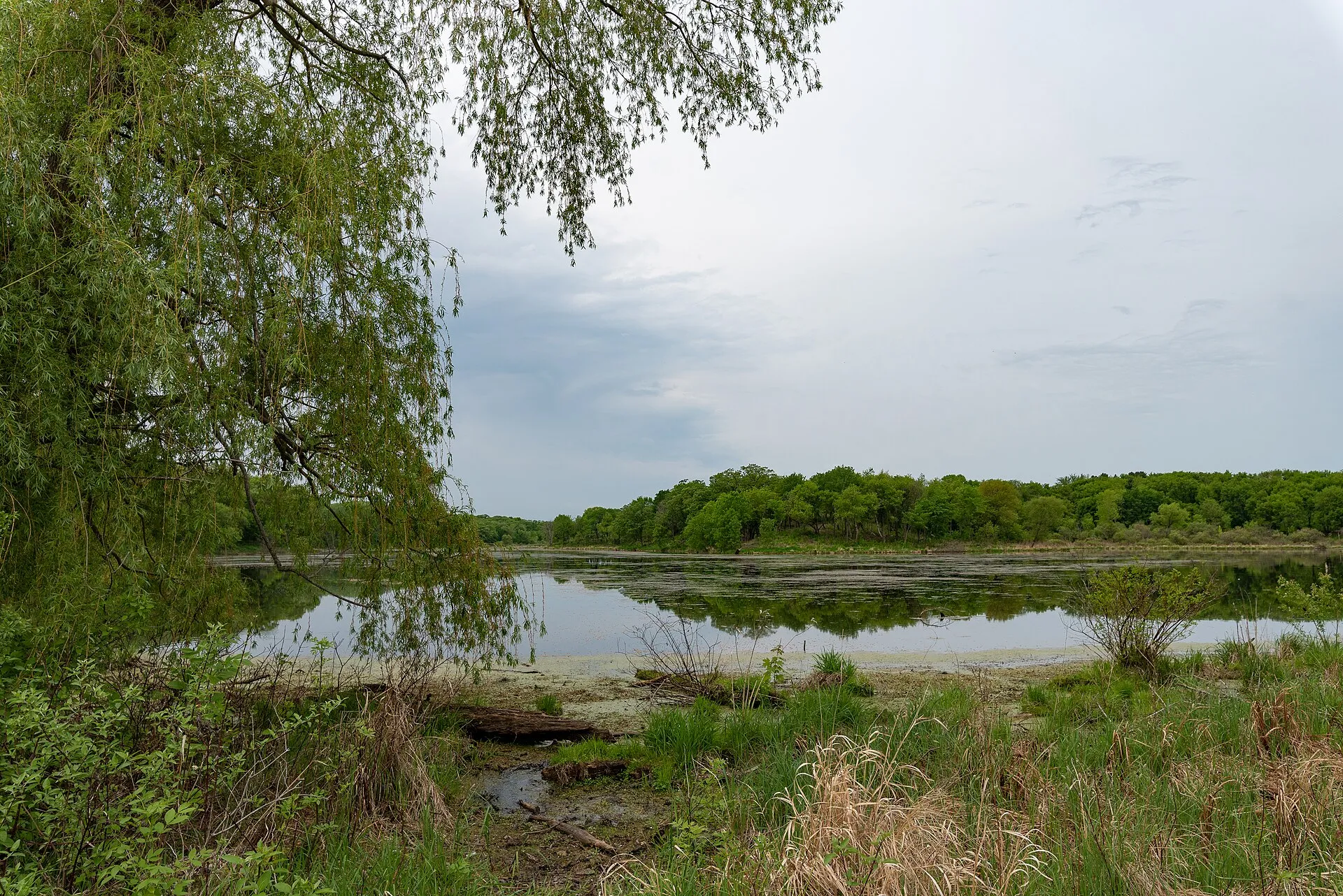 A spring afternoon at Empire Lake in Whitetail Woods Regional Park, part of the Dakota County Parks system, near Farmington, Minnesota. - (c) 2018 Tony Webste