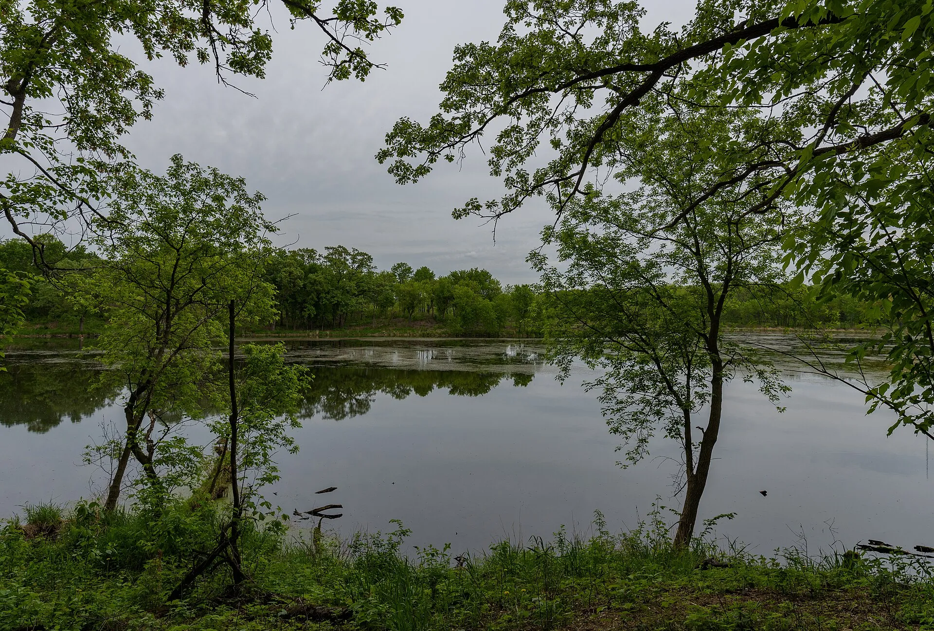 Trees along Empire Lake at Whitetail Woods Regional Park, Dakota County, Minnesota, in spring. - (c) 2018 Tony Webster +1 202-930-9200 tony@tonywebster.co