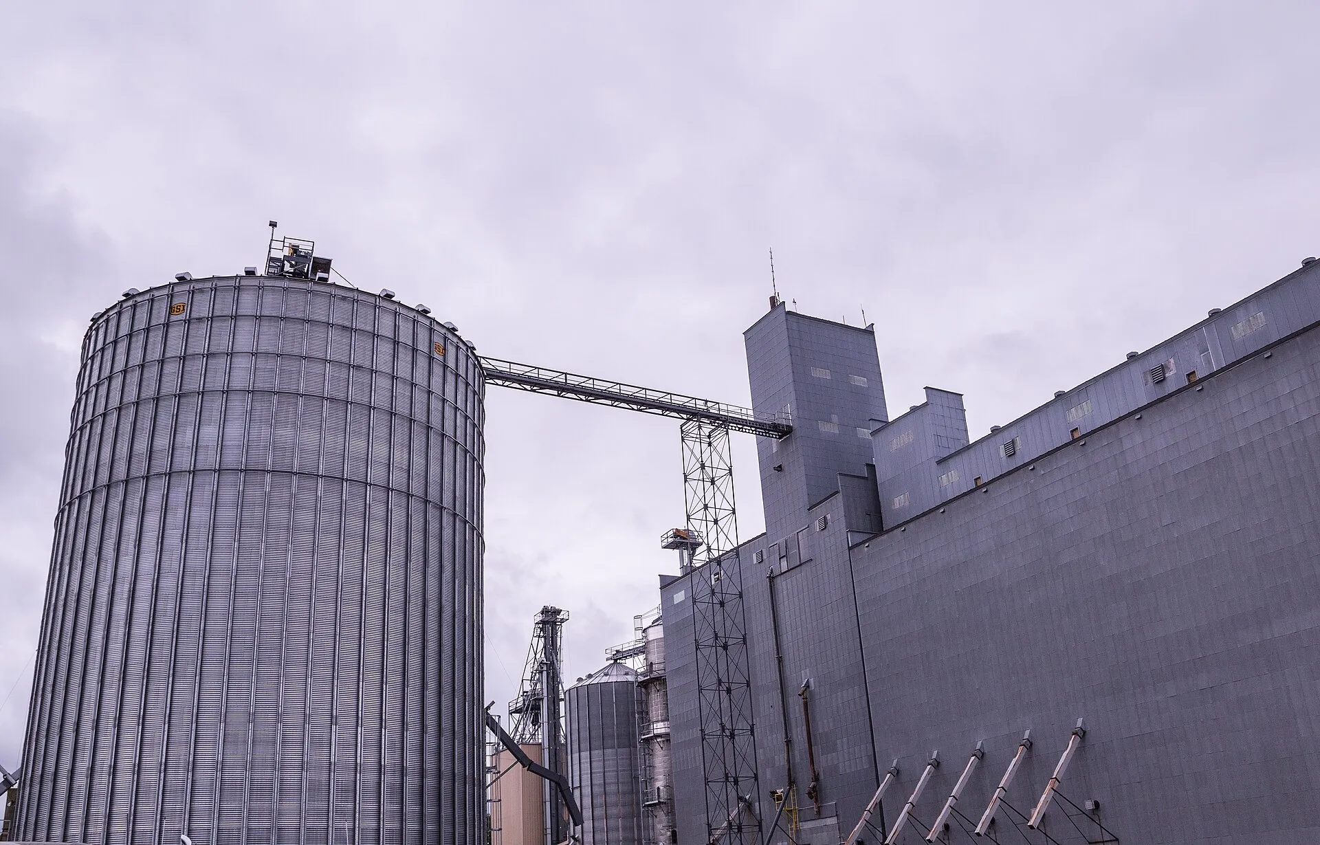 The South Central Grain and Energy grain elevator at 40 West Park Drive in Gibbon, Minnesota.
