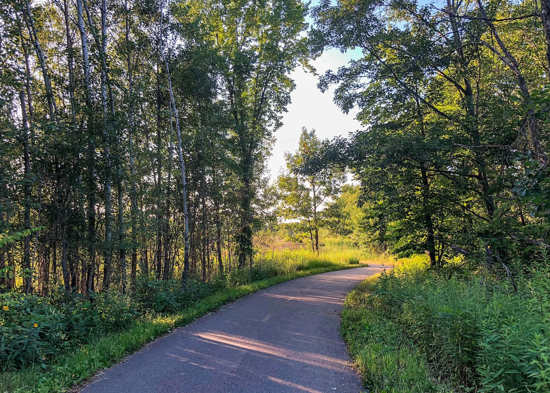 A Dakota County biking trail at Pine Bend Bluffs in Inver Grove Heights, Minnesota, in summer.