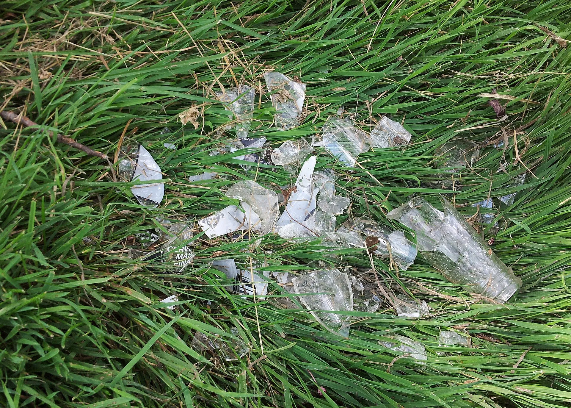 Broken Glass - Keller Island - Maplewood, MN.