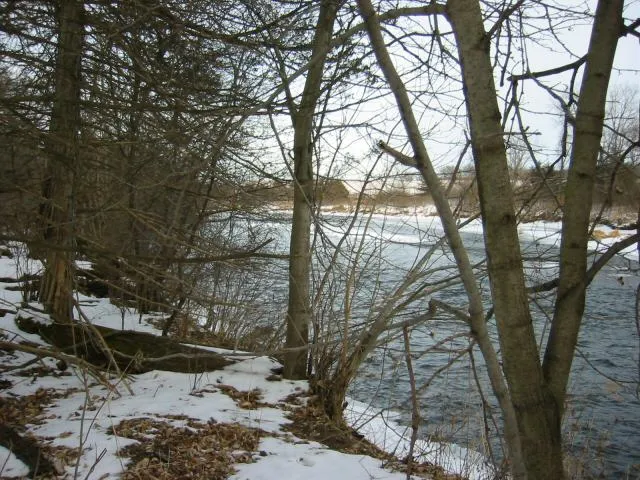 The Cannon River taken while snowshoeing in Miesville Ravine Park Reserve in February 2003.