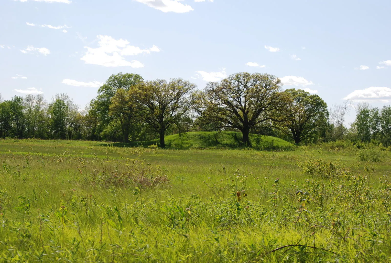 Ogden-Fettie Mound Group at Dickson Mounds, Illinois..