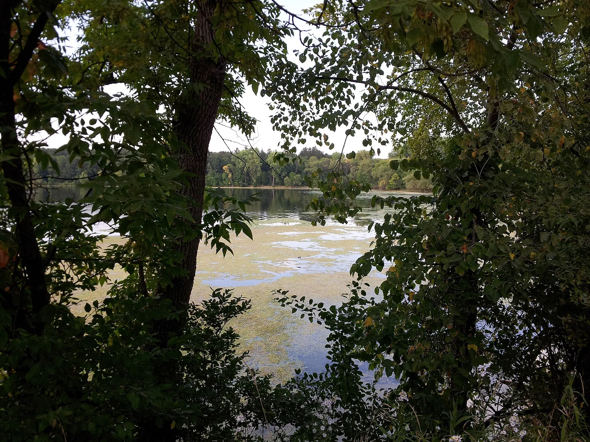 Lake Vadnais - Vadnais Heights, MN.