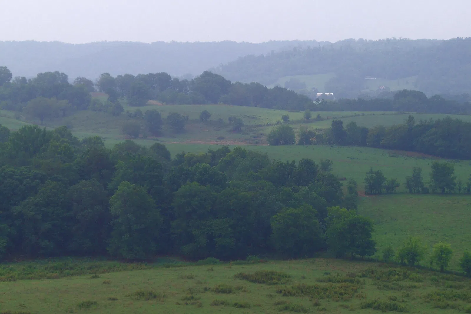 Bakers Bluff on the Natchez Trace Parkway in Hickman County, near Bon Aqua Junction.
