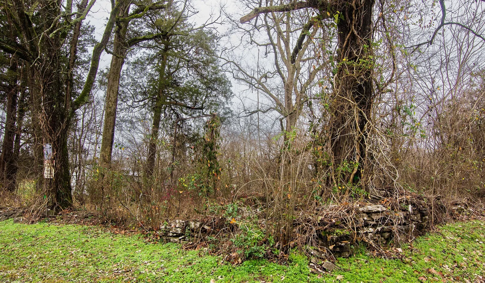 Baily Graveyard-Watertown, TN