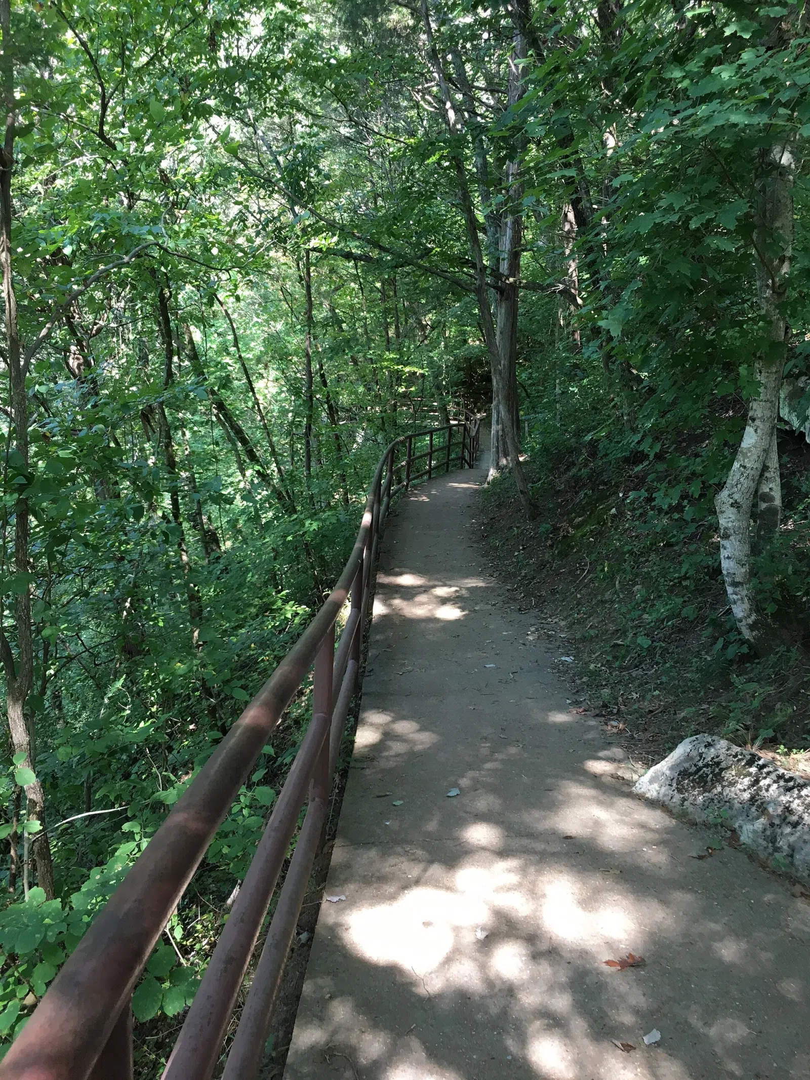The trail to Jackson Falls along the Natchez Trace Parkway in Hickman County, near Wrigley.