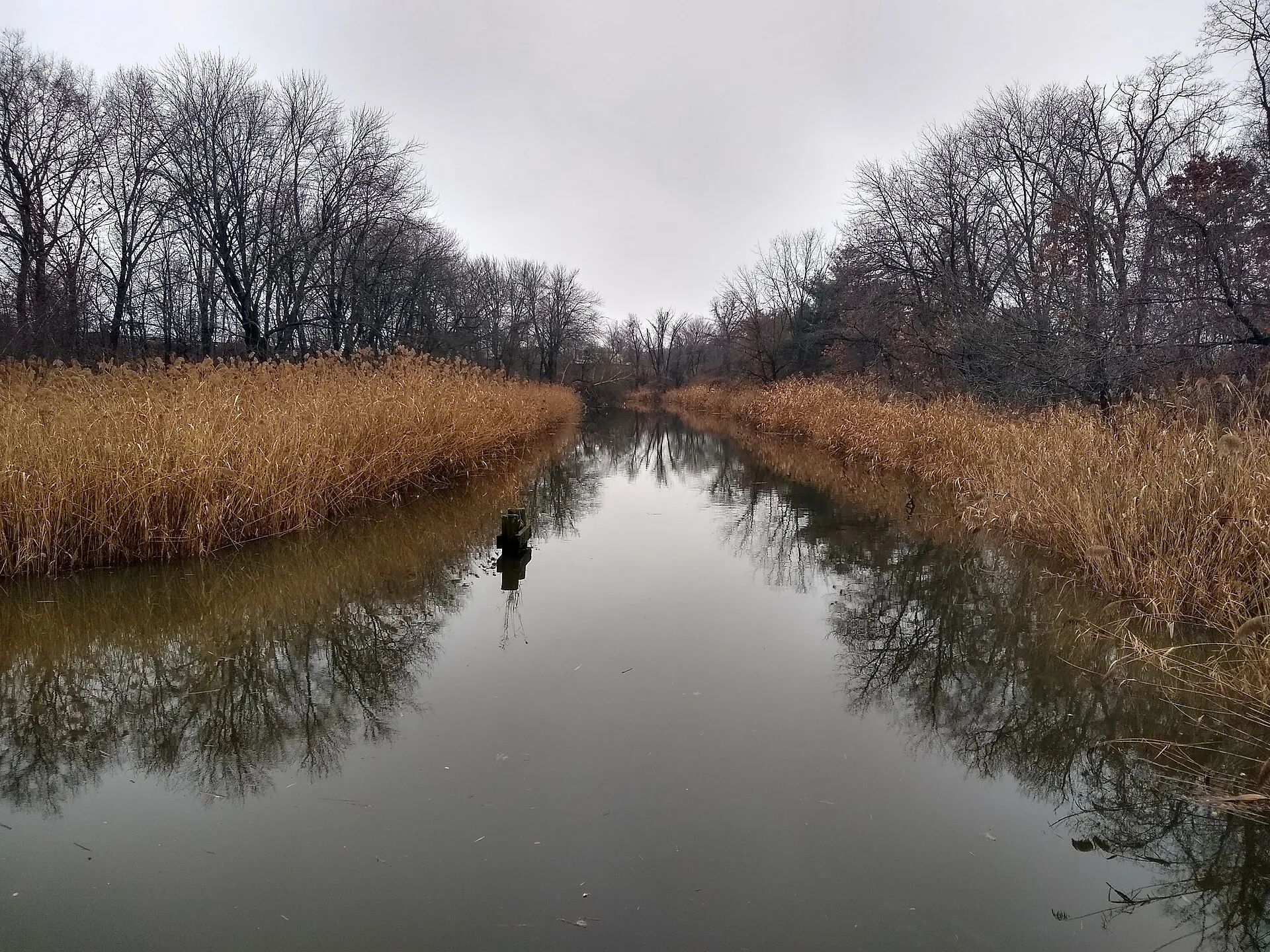The Indian River, Milford.