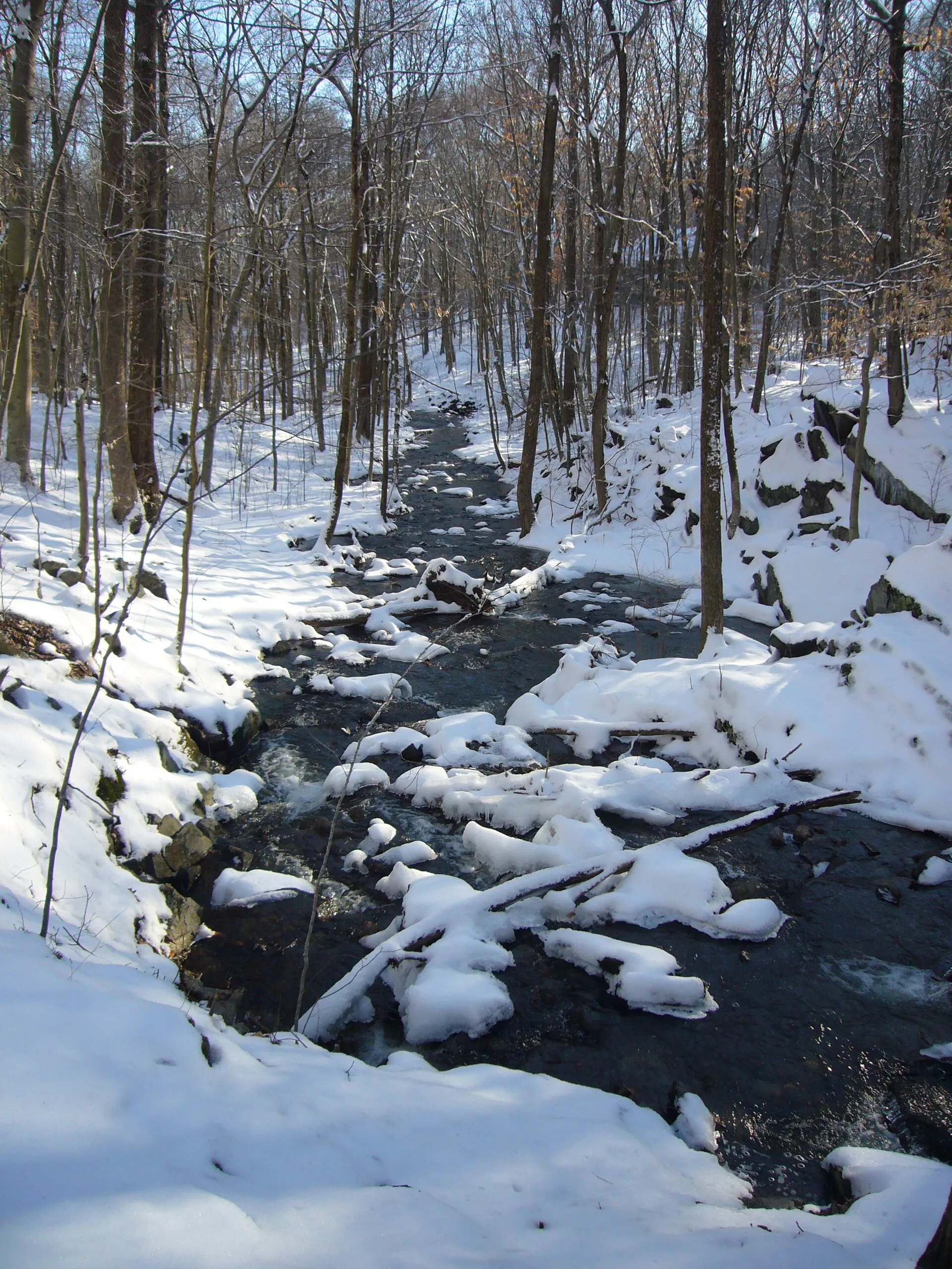 Below Wepawaug Falls, Alice Newton Street Park.
