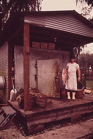 "YOUNG EMPLOYEE AT SEAFOOD MARKET. THE ECONOMY OF LAFITTE DEPENDS HEAVILY ON THE FISHING INDUSTRY, 02/1973"