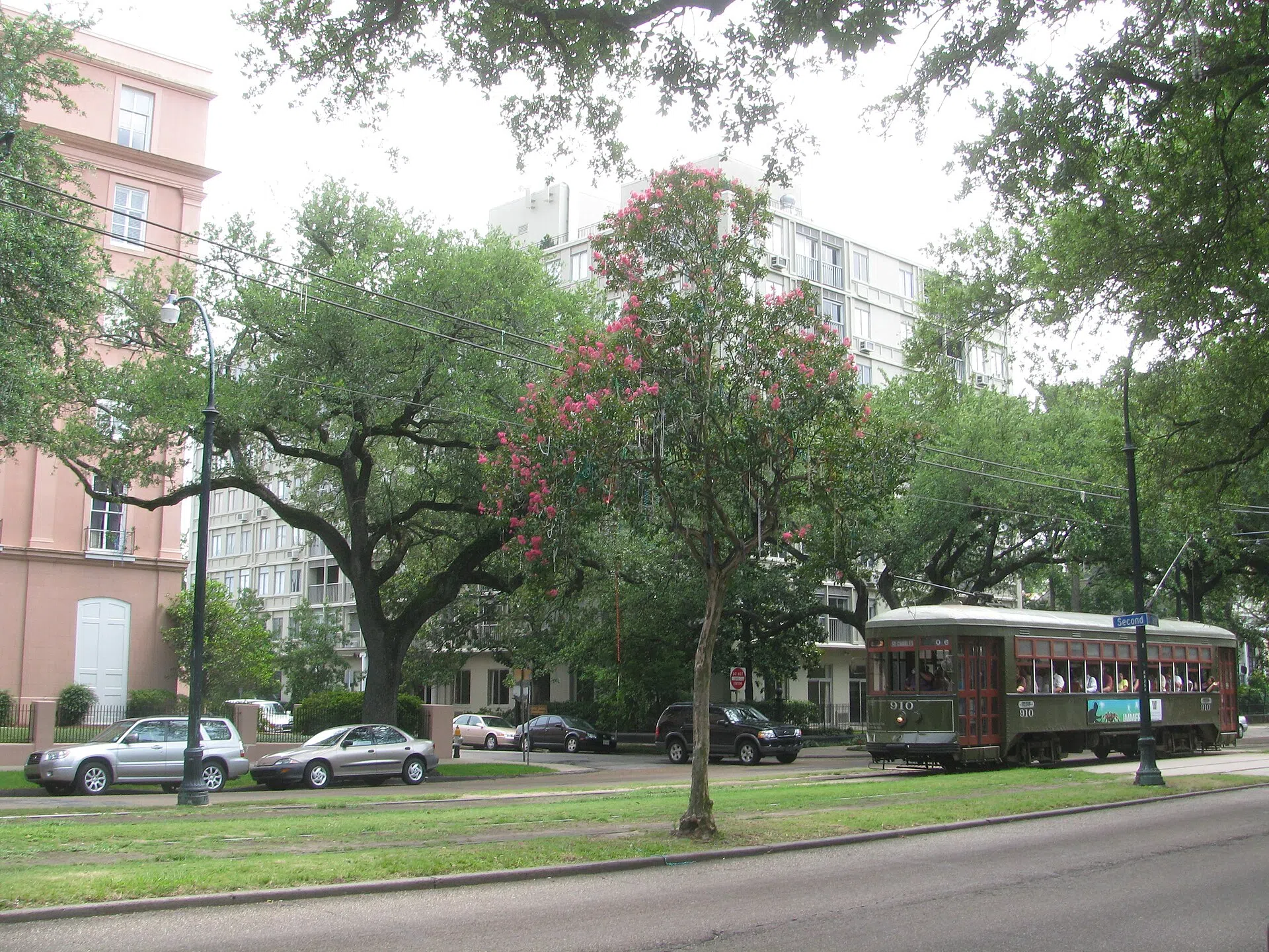 New Orleans Streetcar on en:St. Charles Avenue in the Garden District with en:Mardi Gras beads on a tree in the background