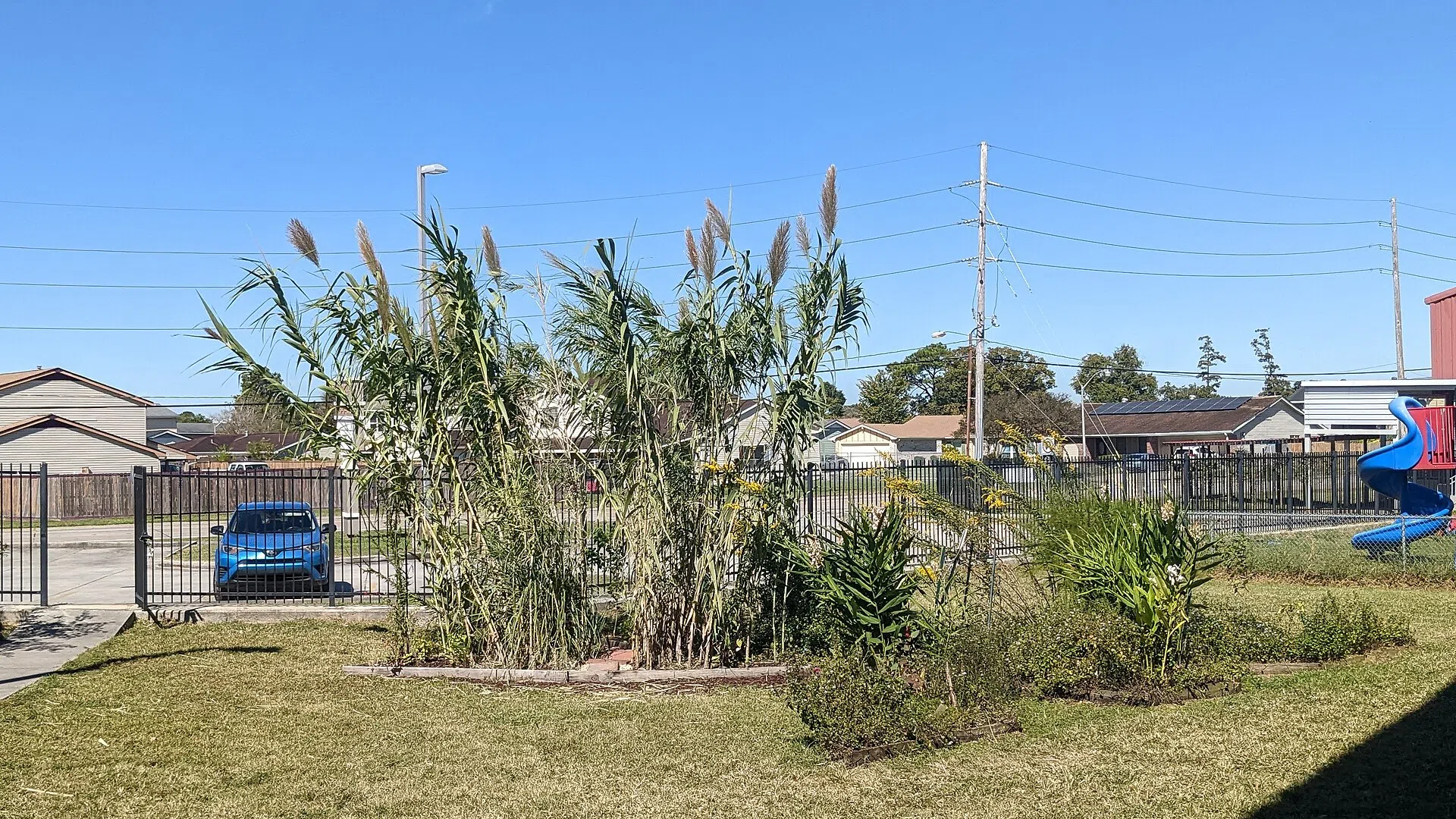 Woodmere, Louisiana