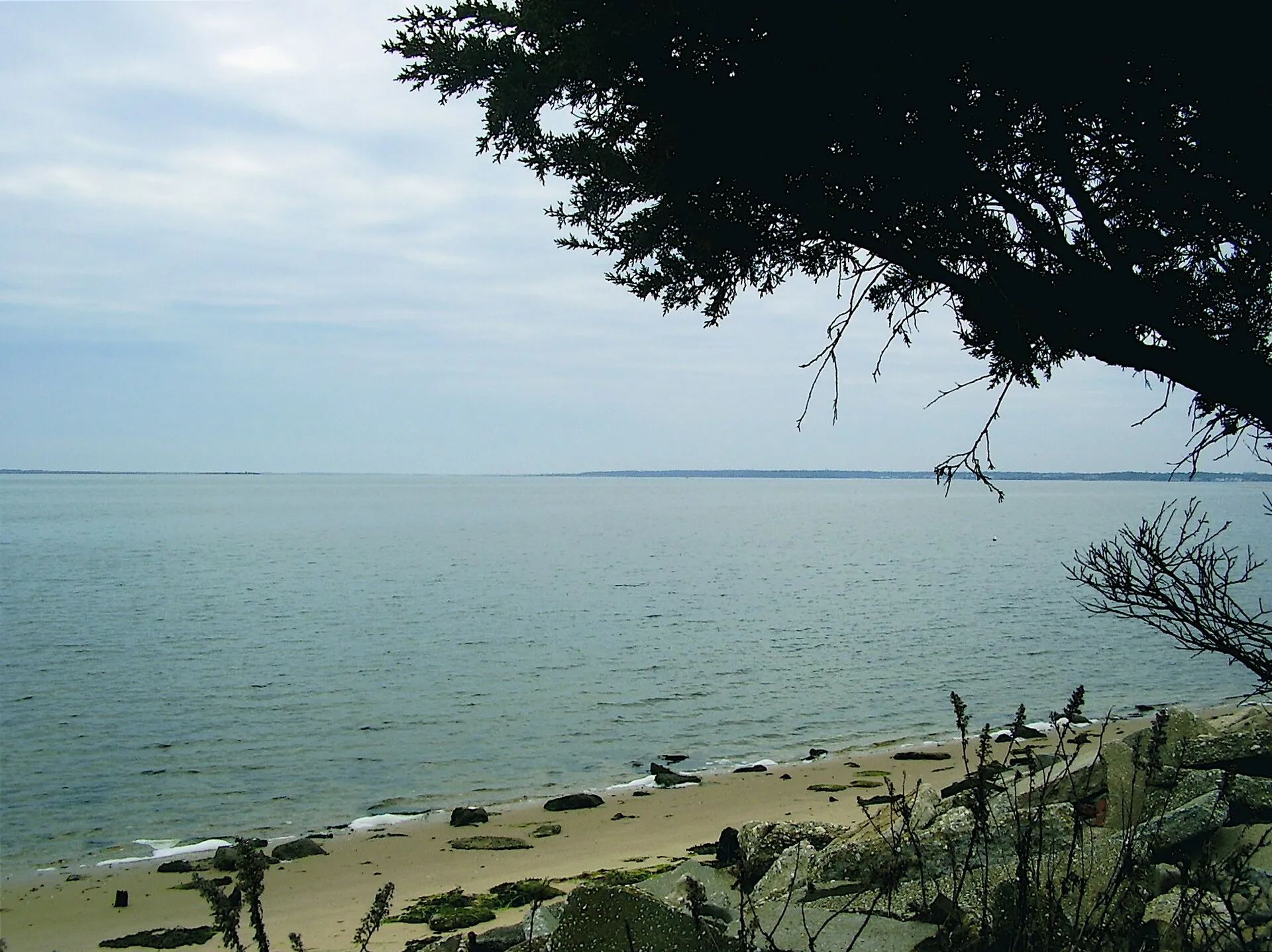 Moriches Bay Long Island New York