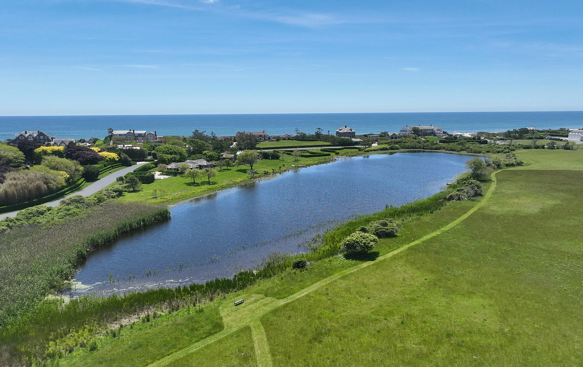 Lily Pond, East Hampton, New York
