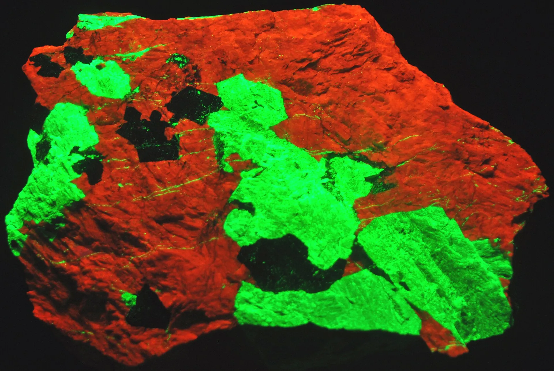 Franklinite-willemite-calcite rock fluorescing under ultraviolet light — zinc ore from Franklin's mines (display at Carnegie Museum of Natural History)