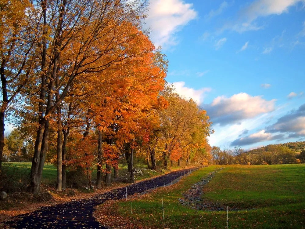 Autumn landscape, Fredon Township, Sussex County