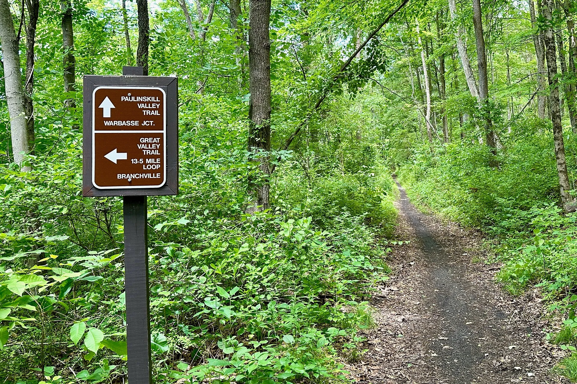 Junction of the Paulinskill Valley Trail with the Great Valley Trail near Junction Road in Hampton Township, New Jersey