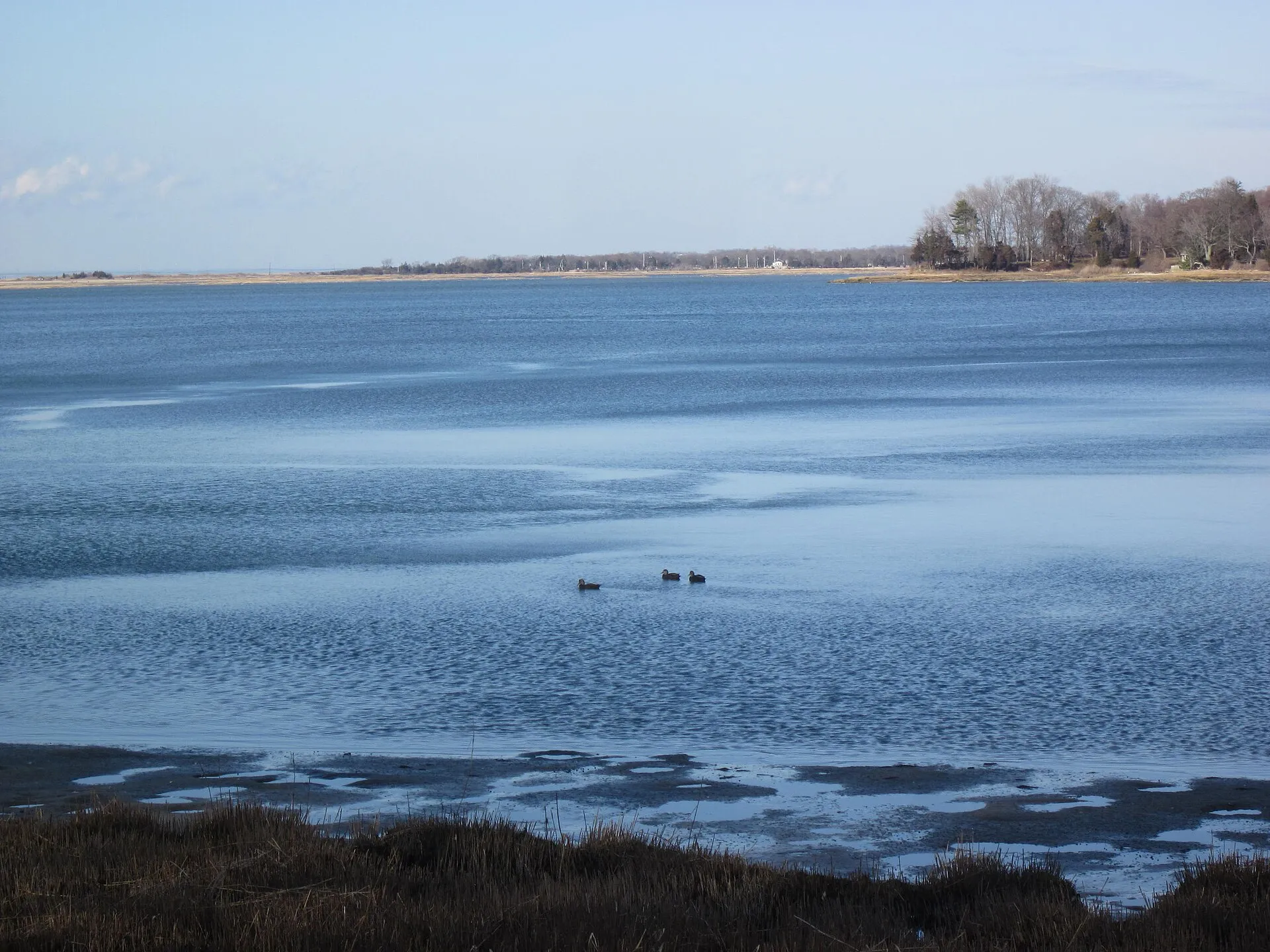 Cordwood Beach on Stony Brook Harbor