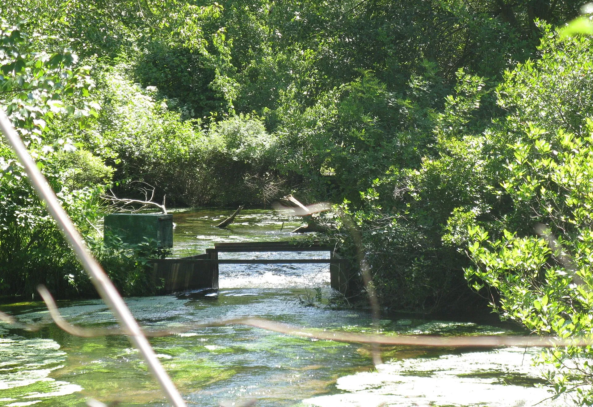 Headwaters of the Connetquot River near Islandia