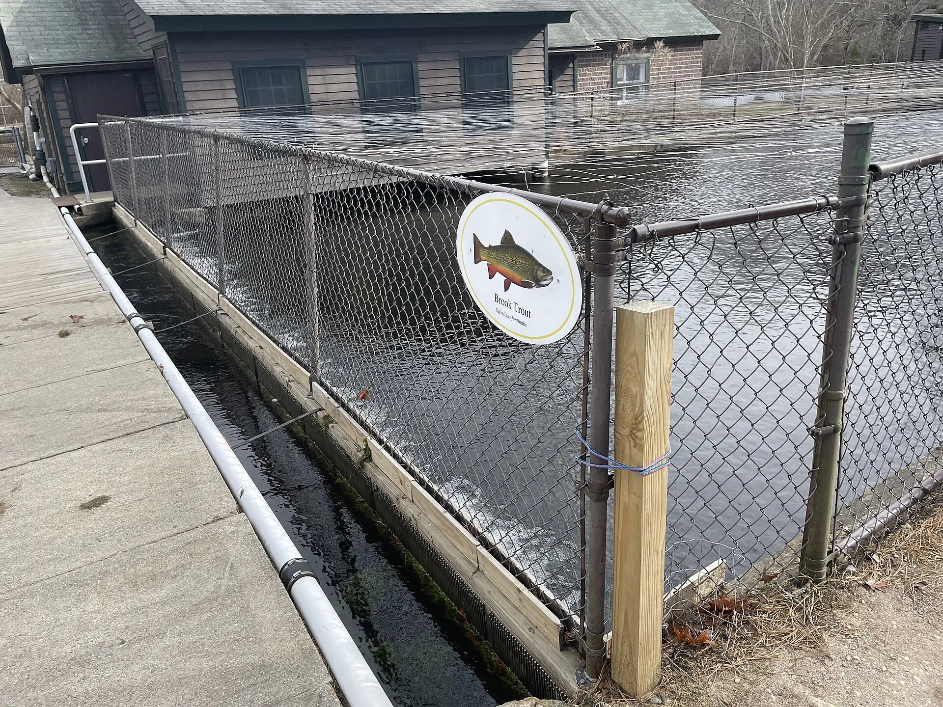 Brook trout hatchery at Connetquot River State Park Preserve