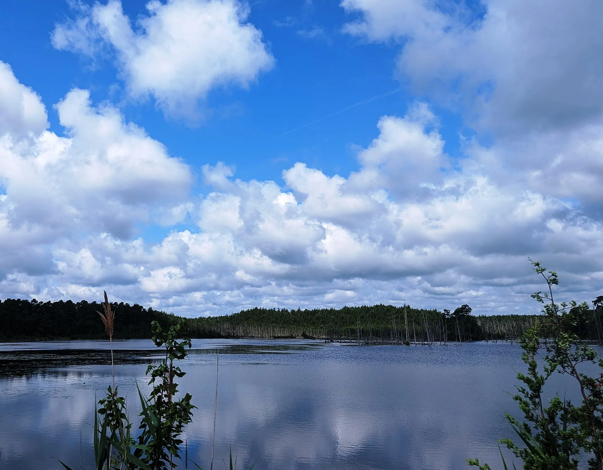 Photo of a lake along Davenport Branch in Lacey Township, New Jersey. Photo taken from County Route 614 (Lacey Road) looking west