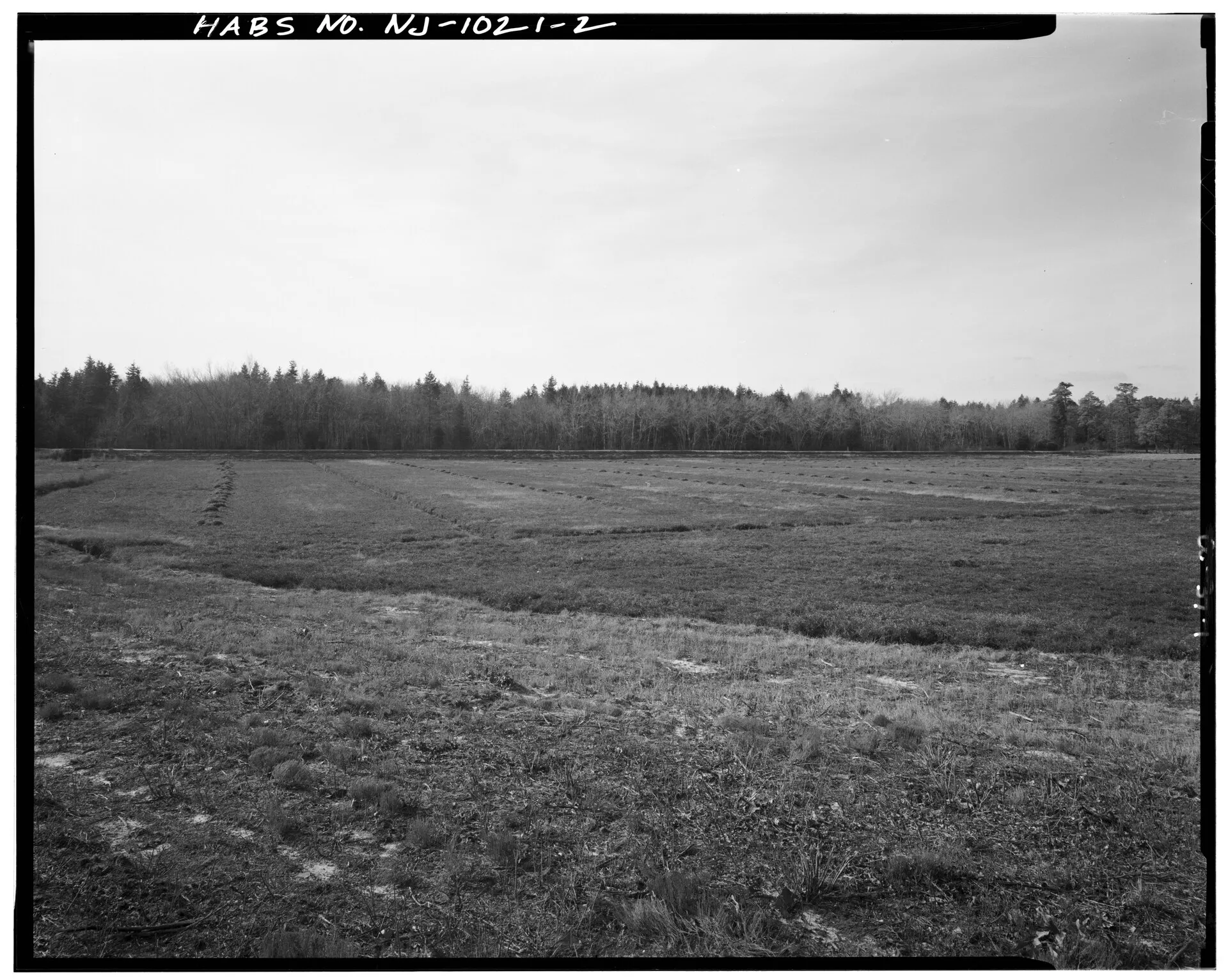 File:CRANBERRY BOG, VIEW LOOKING WEST - Double Trouble State Park, County Road 618, West of Garden State Parkway, Double Trouble, Ocean County, NJ HABS NJ,15-DOUT,1-2.tif