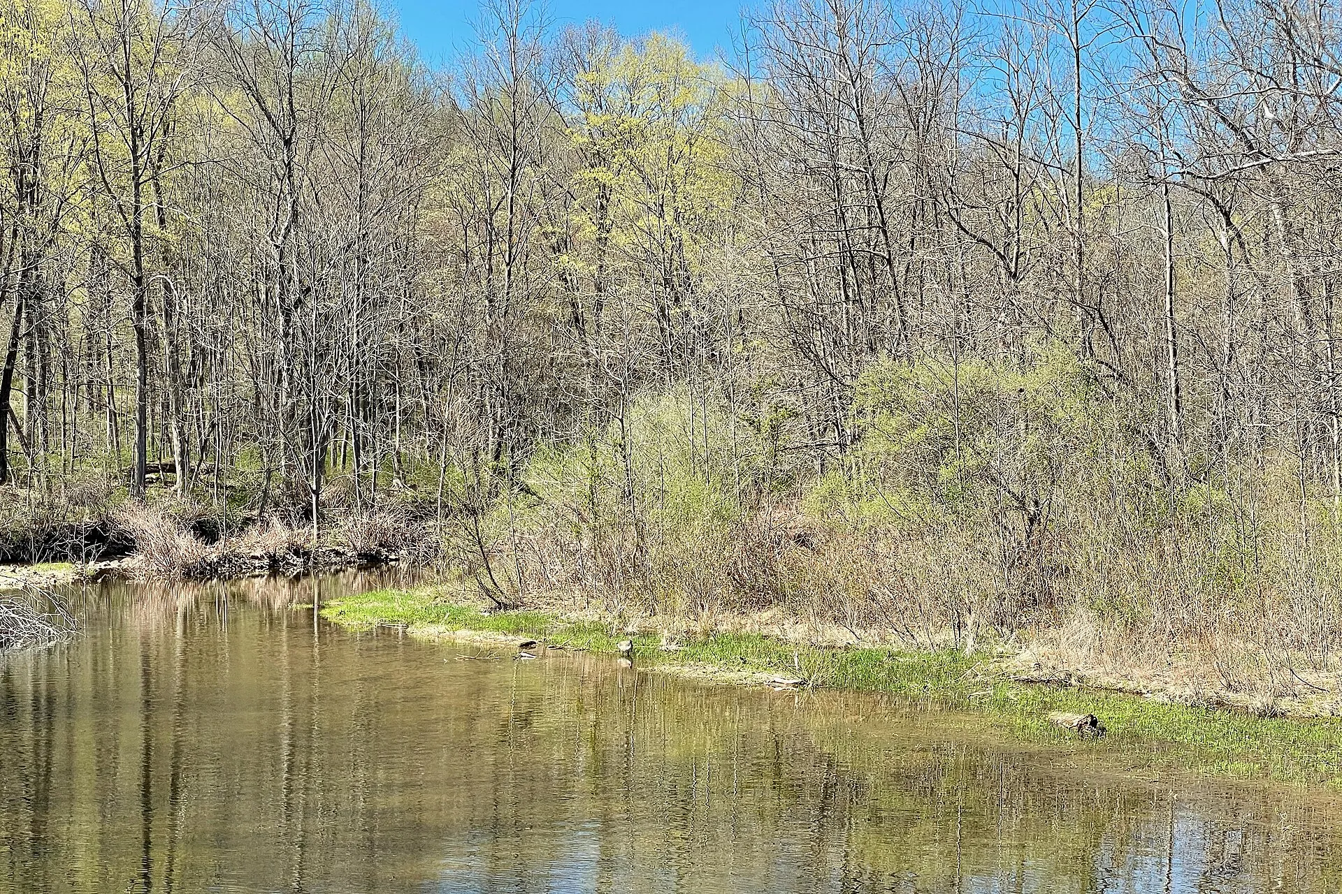 The Spruce Run near the Spruce Run Reservoir, Lebanon Township