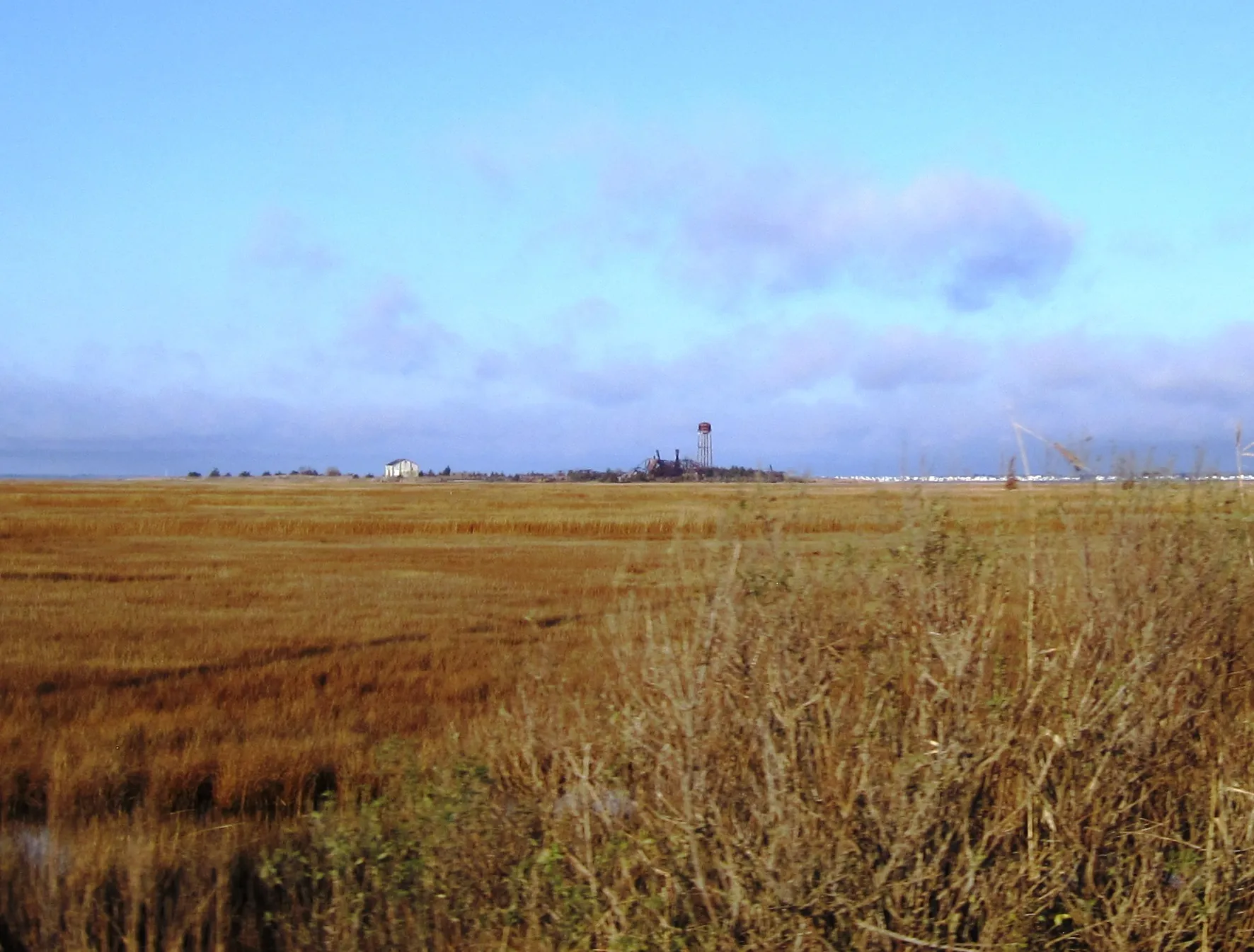 Photo showing the abandoned bunker (fish) factory on Crab Island in Little Egg Harbor Township, New Jersey. Photo taken from Great Bay Boulevard looking northwest