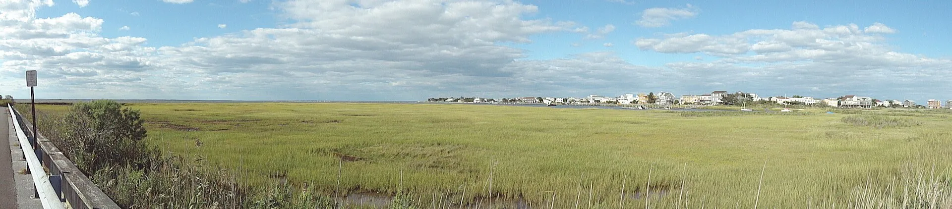 Holgate marsh
