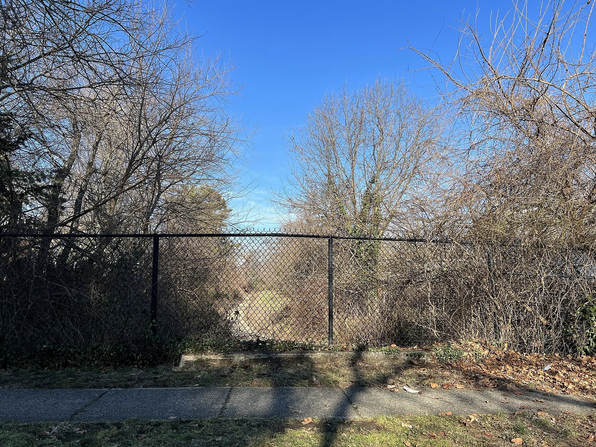 Motts Creek from Chestnut Street, on the Malverne / North Valley Stream border, December 2022