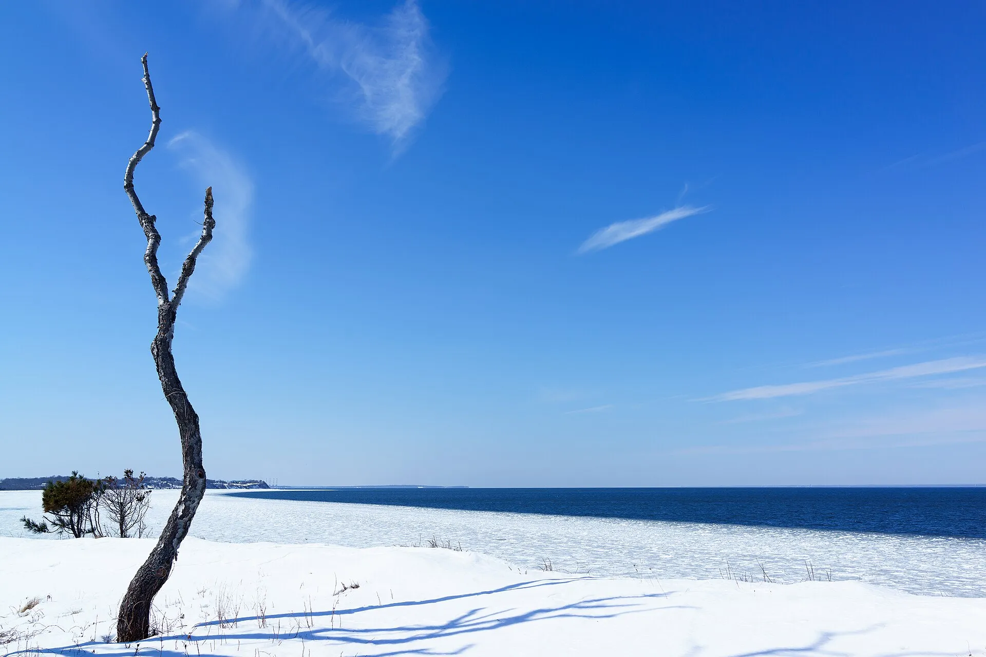 lone tree old field point