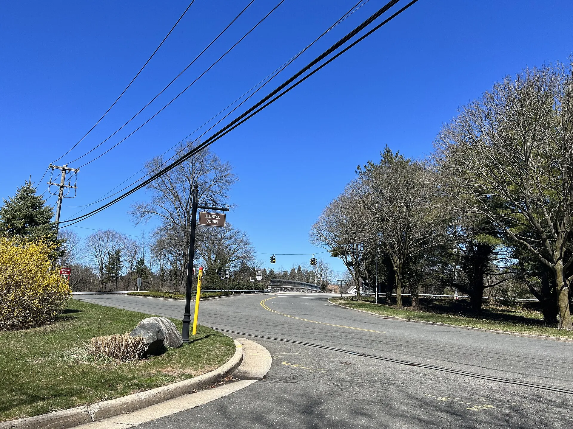 Old Westbury Road looking north from Debra Court, April 2023