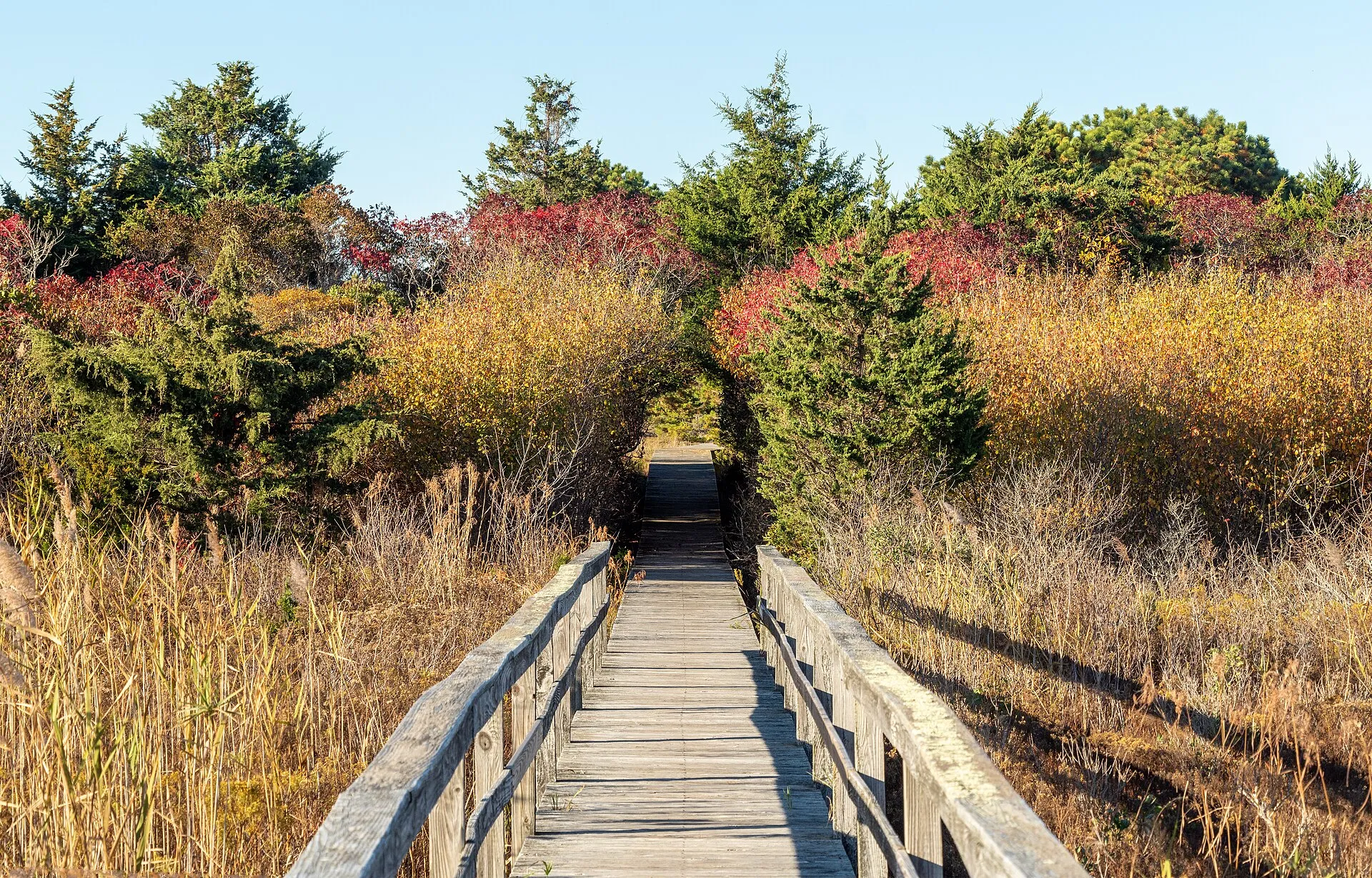 Quogue Village Wetlands Preserve boardwalk in Quogue, New York