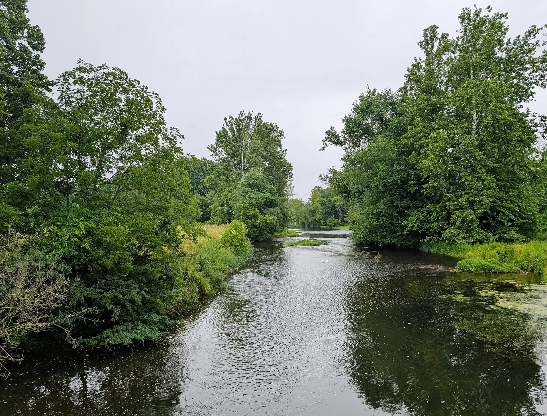 The South Branch Raritan River upstream from the Higginsville Bridge, June 2026