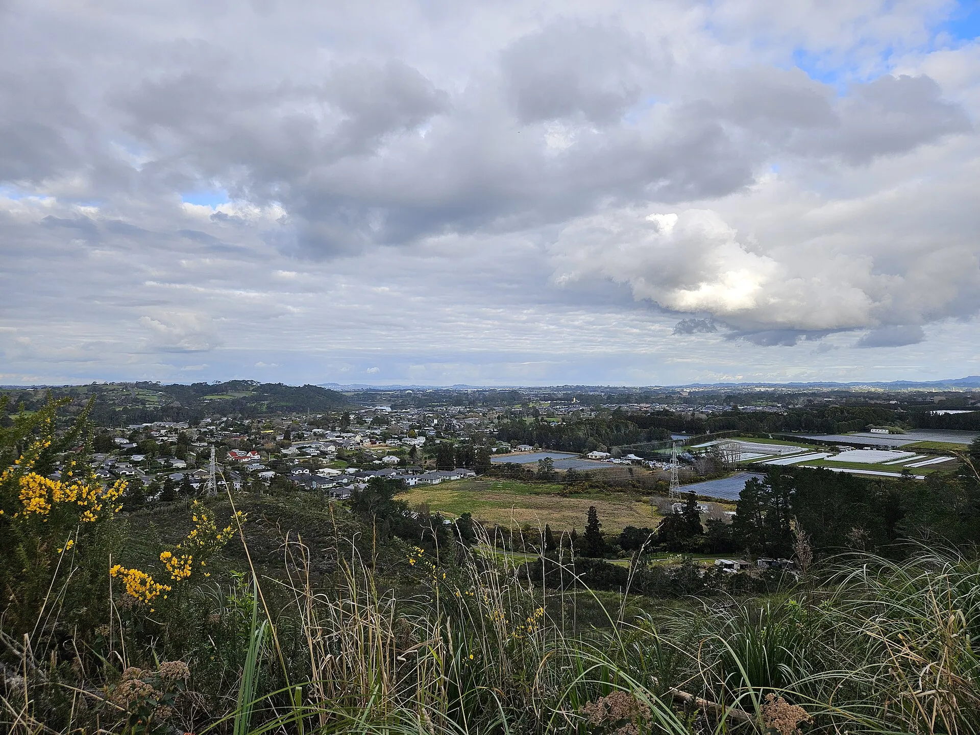 View of Riverhead from the Riverhead Forest, Auckland, New Zealand