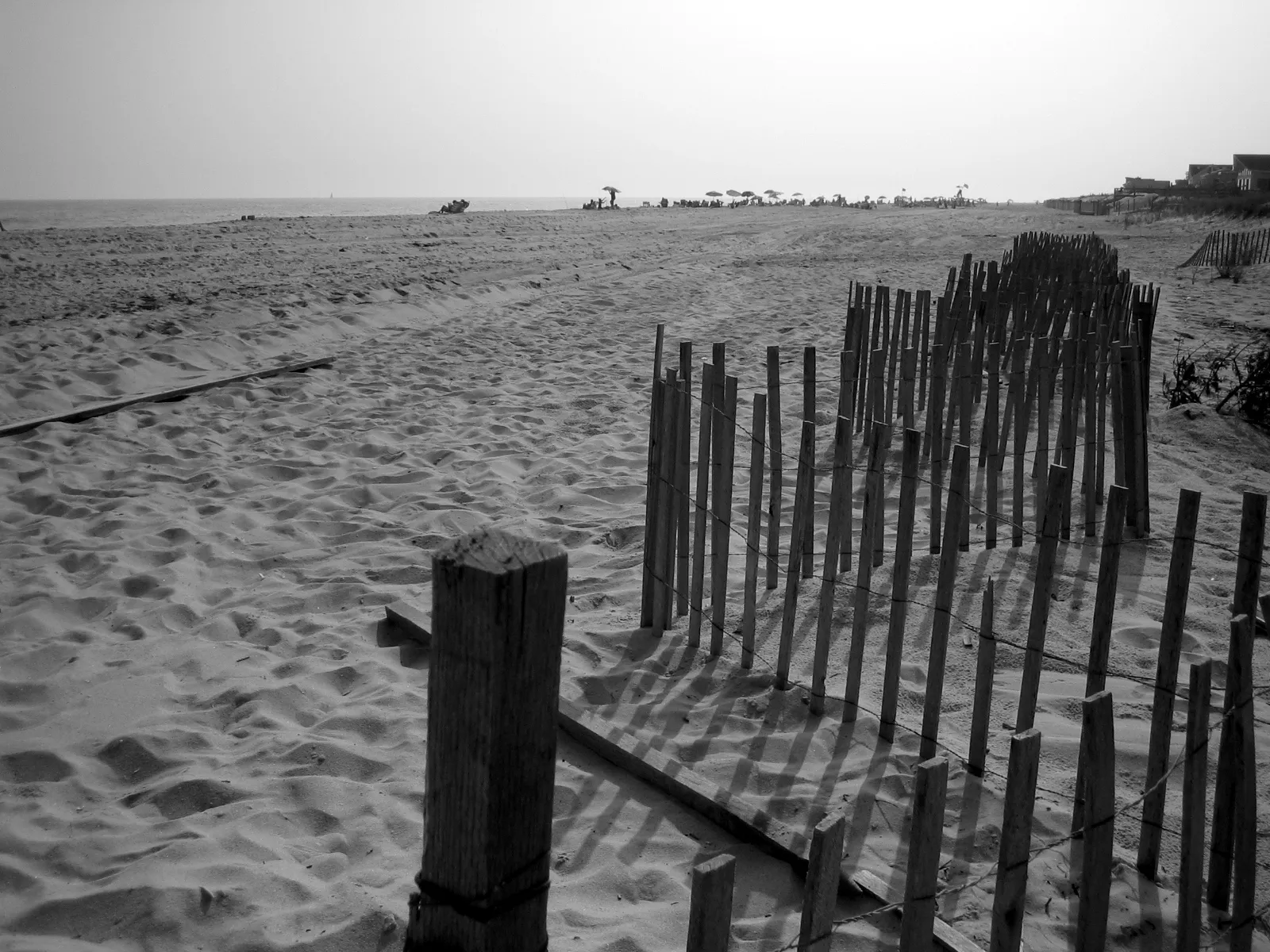 The beach at Saltaire, Fire Island