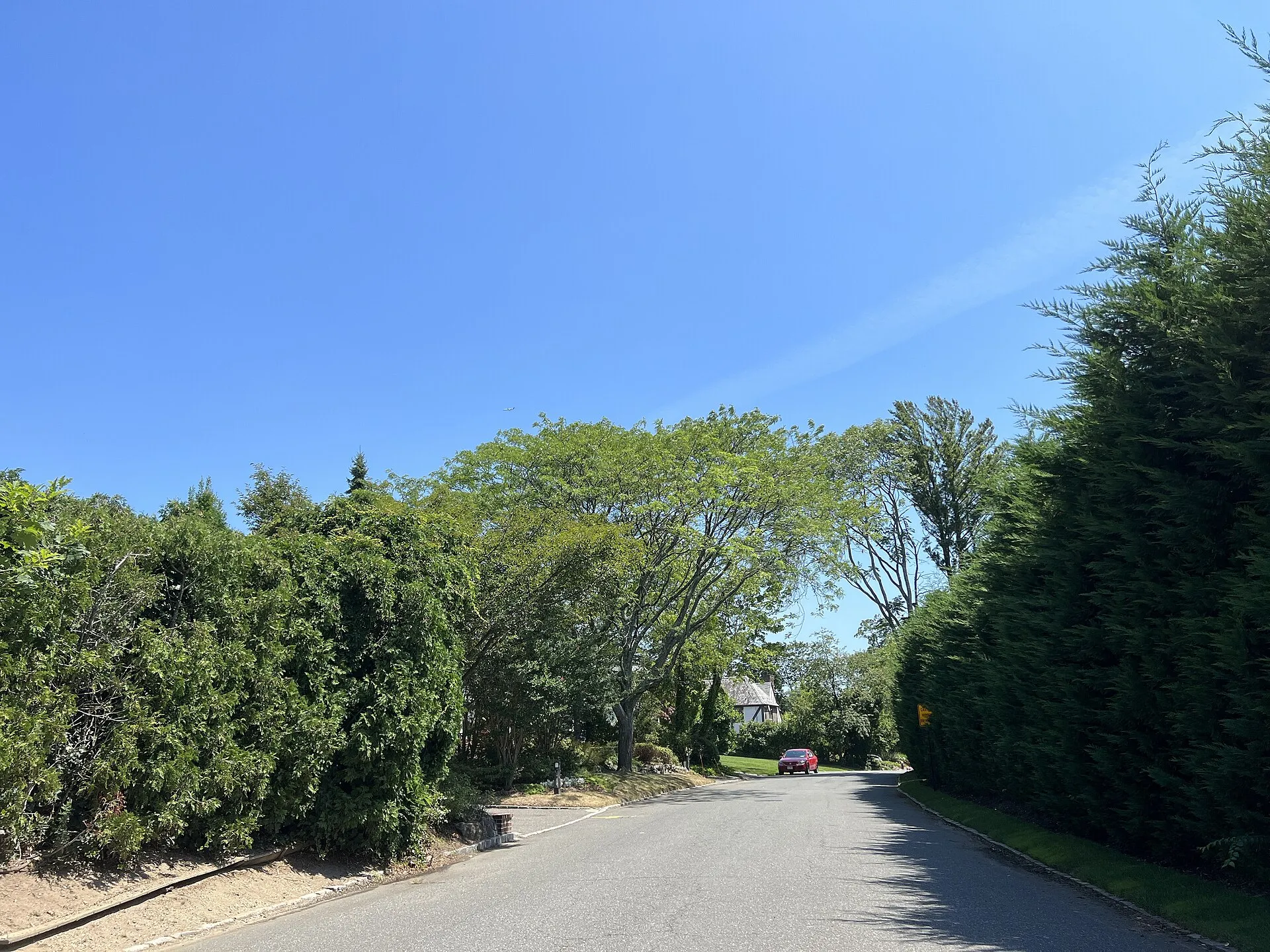 Wood Lane in Woodsburgh, August 2022