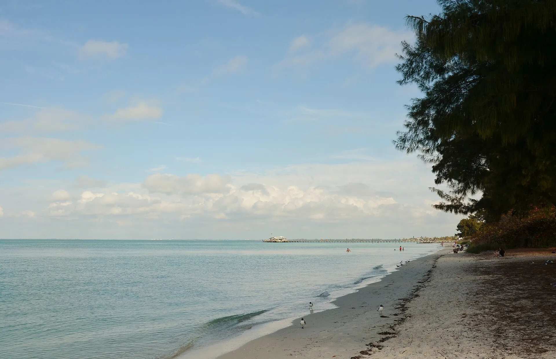 Anna Maria, Florida (panoramio photo by Roman Eugeniusz).